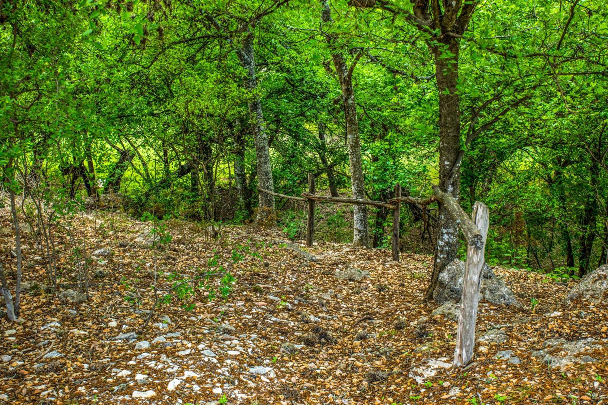 River Ridge Bandera Cabin Dış mekan fotoğraf